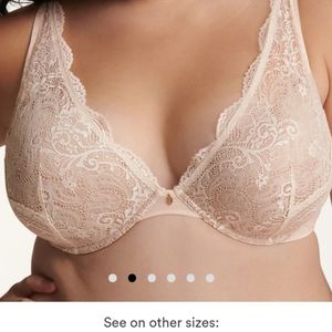 Third Love Lace Contour Plunge Bra